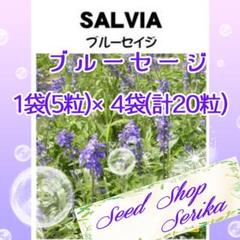 ブルーセージ 家庭菜園 野菜 ハーブ 種