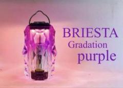 NUTS OUTDOOR ナッツアウトドア BRIESTA ブリエスタ vivid