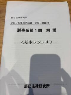 【専用】R7司法試験向け 全国公開模試 論文短答解説レジュメ　全7科目 最新】R7司法試験向け 全国公開模試 論文短答解説レジュメ 全7