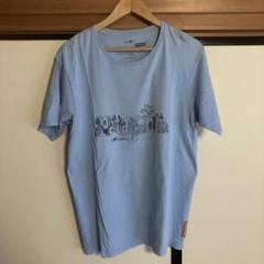patagoniaパタゴニア　ライトブルー Tシャツ M