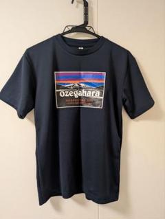健大高崎 Tシャツ ネイビー