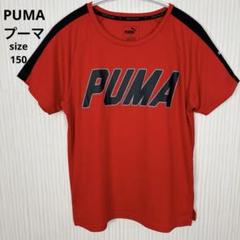 PUMA レッド ドライTシャツ 150cm