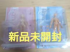 2025年最新】figma she flesh color verの人気アイテム - メルカリ