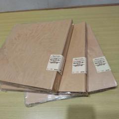 MUJI (無印良品) - 無印良品 アルバム バインダー スクエアの