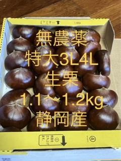 栗 大粒2L～特大3Lサイズ2.7k 取り扱いの難しい無燻蒸で熟成させ