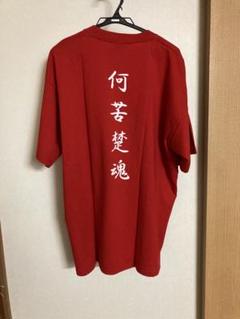 ミズノ 野球グローブ　少年用　タグ付き未使用　岩村明憲プロサイン入り 2025年最新】岩村明憲 グローブの人気アイテム - メルカリ