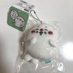 【未開封】アザラシくじ D賞 ねこ＆しお 2点セット ナガノの水族館 アザラシぬいぐるみくじ - ナガノマーケット