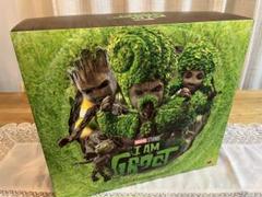 ホットトイズ アイ・アム・グルート hottoys groot グルート
