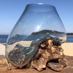 流木ガラス オブジェ大B16A 花瓶 金魚鉢 ガーデニング テラリウム アート m90286797430_1.jpg?1722938536