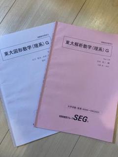 SEGテキスト 東大図形数学 解析数学 プリント付き - メルカリ