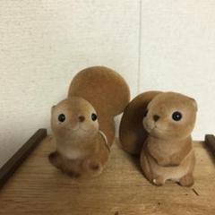 CENTEX チャーミーランド うし 親子 CENTEX チャーミーランド うし 親子 その他