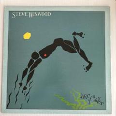 Steve Winwood Arc of a Diver