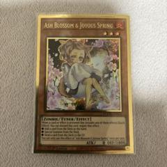遊戯王 灰流うらら はるうらら 絵違い プリズマ プリシク アーコレARS9 遊戯王 灰流うらら はるうらら 絵違い プリズマ プリシク