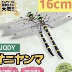 アザミカマキリ雄 立体標本 標本
