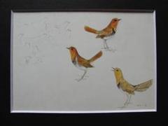 上村　淳之、駒鳥（コマドリ）、希少画集画、新品額装付 m90359227050_1.jpg?1700468660