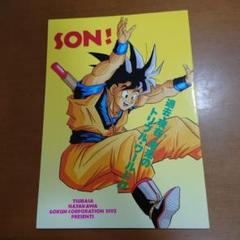 son! ドラゴンボール本　過去現在未来のトリプルワールド　バーダック　悟空