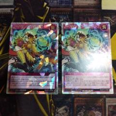 遊戯王ラッシュデュエル　ノーバディースキャットシーフ　オーバーラッシュ3枚セット 遊戯王 ラッシュデュエル ノーバディ・スキャットシーフ
