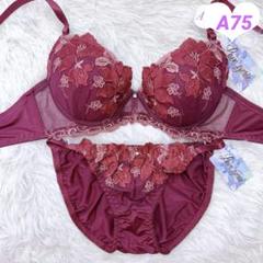 m90377189340_1.jpg?1724217857