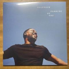 2025年最新】vulfpeck レコードの人気アイテム - メルカリ