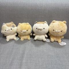 となりのにゃんこ　ぬいぐるみ 商品検索｜株式会社フクヤ│プライズ・アニメ・雑貨