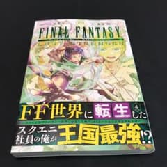 Final Fantasy Lost Strangerの中古 未使用品を探そう メルカリ