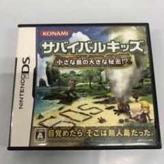 RD6140 DSソフト サバイバルキッズ 小さな島の大きな秘密!？