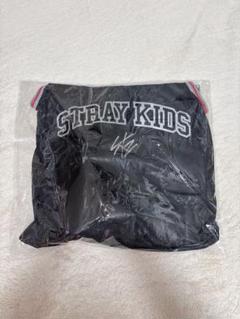 お値段交渉ok stray kids アプグレグッズ　未開封抜きなし skzg6.jpg