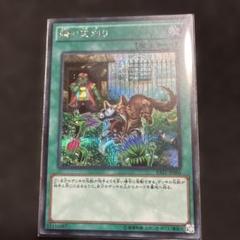 隣の芝刈り シークレット RADI-JP066