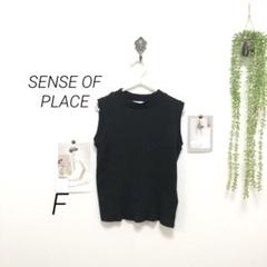 7038 SENSE OF PLACE ノースリーブリブカットソー F 無地