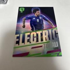 サッカーカード　トナーリ　PANINI top class ニューカッスル