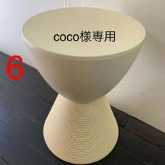 ‼️カルテル‼️ プリンアハ 正規品