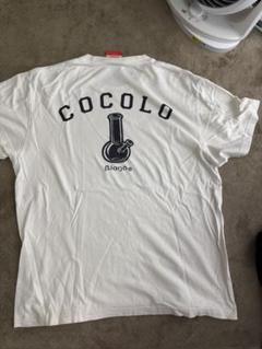 楽天市場】cocolo tシャツの通販