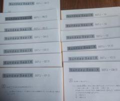 希少 Sunday Sapix 豊島岡算数対策 SSTJ 全14回セット 希少 Sunday Sapix 豊島岡算数対策 SSTJ 全14回セット