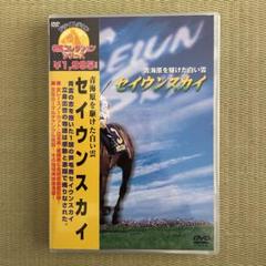 セイウンスカイ 青海原を駆けた白い雲
