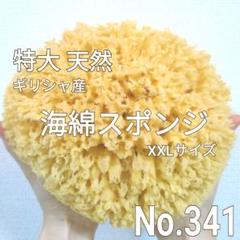 天然 特大！ 海綿スポンジ ギリシャ産 グラス種 XXLサイズ No.372 Amazon | ギリシャ産 天然海綿スポンジ 14cm ボディスポンジ