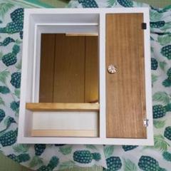 フックつきミラー収納付き