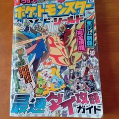 動作確認済 任天堂 Switch ポケットモンスターシールド 攻略本2
