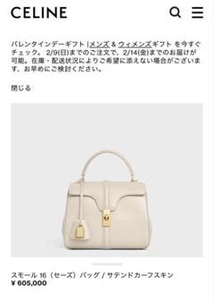 美品☆現行】CELINE セーズ16 スモール カプチーノ