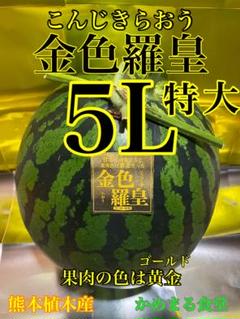 味は抜群！熊本産 金色羅皇 スイカ 特大5L (10kg〜 熊本産 金色羅皇西瓜 1玉4L〜5Lサイズ(約8〜10kg) : 鮮ど市場