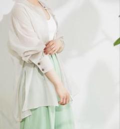 【美品】SALON アダムロペ ブライトスパンスタンドカラーシャツ シアーシャツ