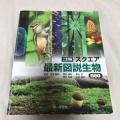 m90503221060_1.jpg?1605354216