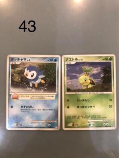 ピカチュウlv11 ヒコザルlv11ポッチャマlv13 ナエトルlv8 m74804423348_1.jpg?1724921858