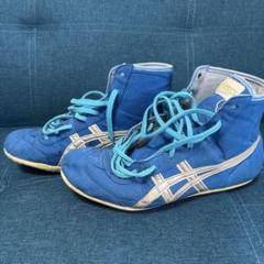 ASICS 青 レスリングシューズ　旧オーダー　シューズ袋付き