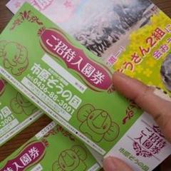 市原ぞうの国 無料入場チケット 招待券