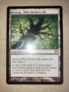 耐え抜くもの、母聖樹　foil 英語 拡張　1枚 Amazon.co.jp: MTG Foil 拡張アート 501《耐え抜くもの、母聖樹