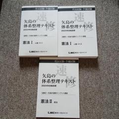 司法試験　予備試験　矢島の体系整理テキスト 裁断済　2025年版 2025年最新】司法試験 lec 矢島の人気アイテム - メルカリ