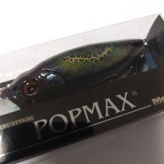 Amazon.co.jp: No.480 メガバス POP X オールド GGサン