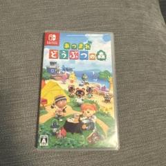 あつまれ どうぶつの森 Nintendo Switch