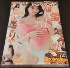 【新品未読品】ヤングガンガン　永尾まりや　04のサムネイル