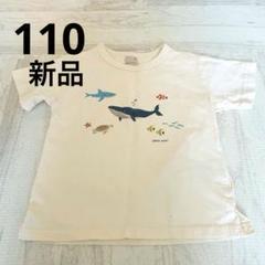 プティマイン　海の生き物　Tシャツ　110